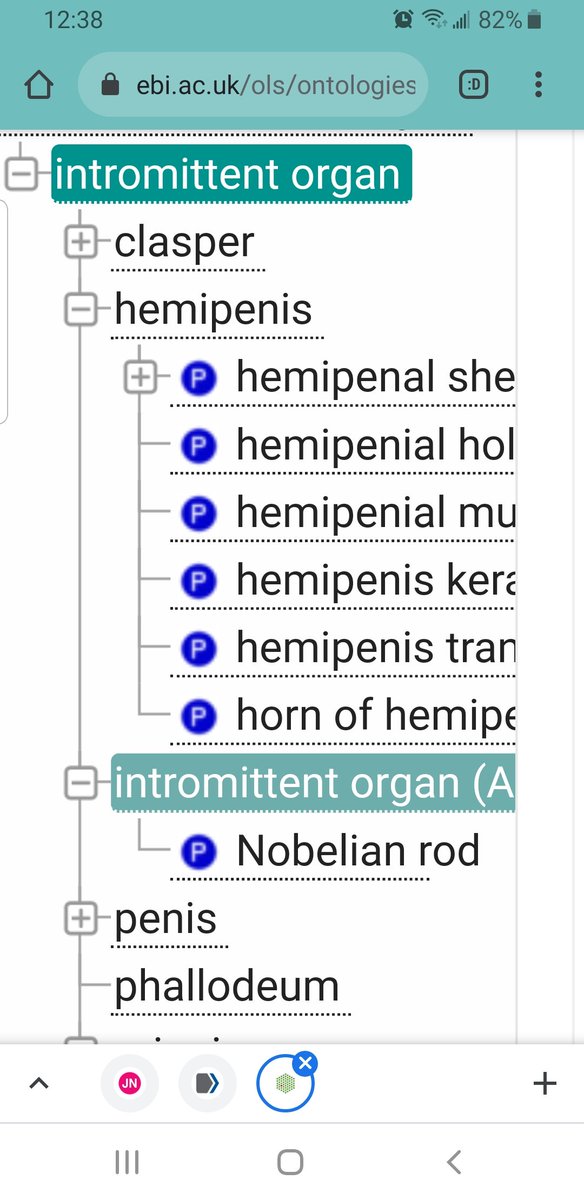 <a href="/Aella_Girl/">Aella</a> We have a wide range of intermittent organs in our animal anatomy ontology. They are all my faves. I see let's of great suggestions I this thread, we will have to add them! purl.obolibrary.org/obo/UBERON_000… <a href="/uberanat/">uberanat</a> #PenisOntology
