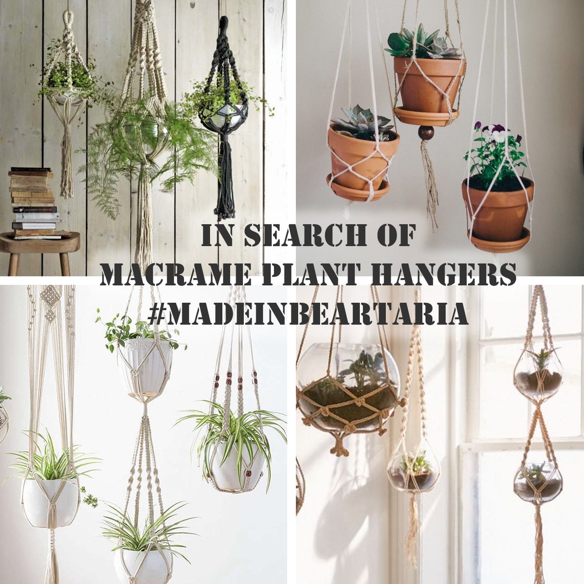 Bartertaria's tweet photo. TreeTopBear is on the lookout for bear-made macrame plant hangers. Do you make these? Let us know!!
#MadeInBeartaria
#Bartertaria
#Beartaria
#Unbearables
#bearssupportingbears https://t.co/zPsseQ2TPl