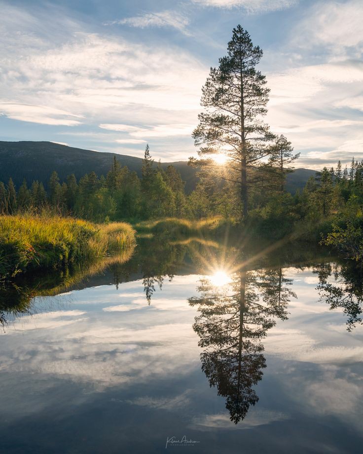 BeautyNature___'s tweet photo. Good morning everyone. 
#nature #NaturePhotography https://t.co/oiGtWym533