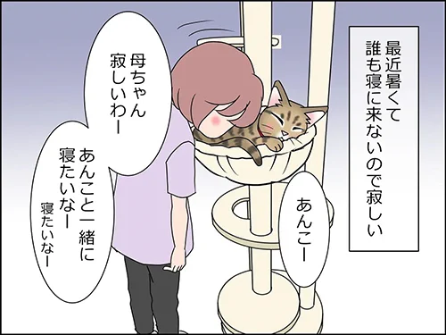 猫と一緒に寝たい飼い主、ベッドで待ってたことに喜ぶも…… ダッシュで逃げられる漫画がちょっぴり切ない https://t.co/u3uTlyeSi7 @itm_nlabより 
