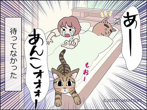 猫と一緒に寝たい飼い主、ベッドで待ってたことに喜ぶも…… ダッシュで逃げられる漫画がちょっぴり切ない https://t.co/u3uTlyeSi7 @itm_nlabより 