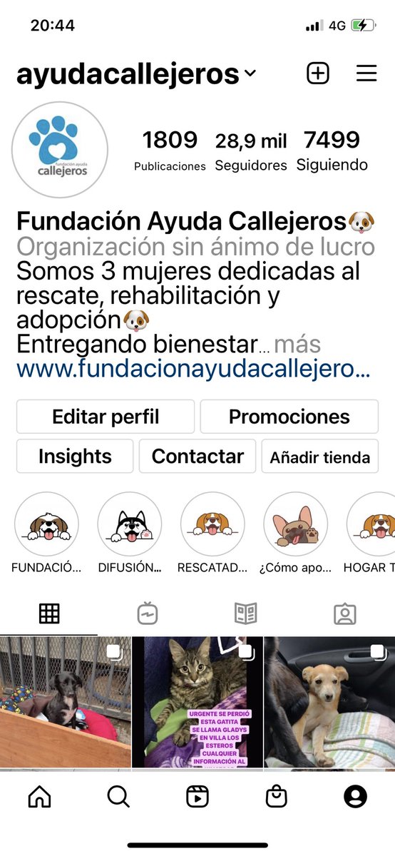 Sonia Urrutia tweet media