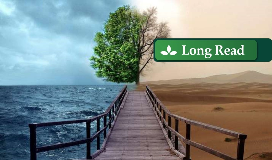 BDG: Buddhistdoor Global tweet media