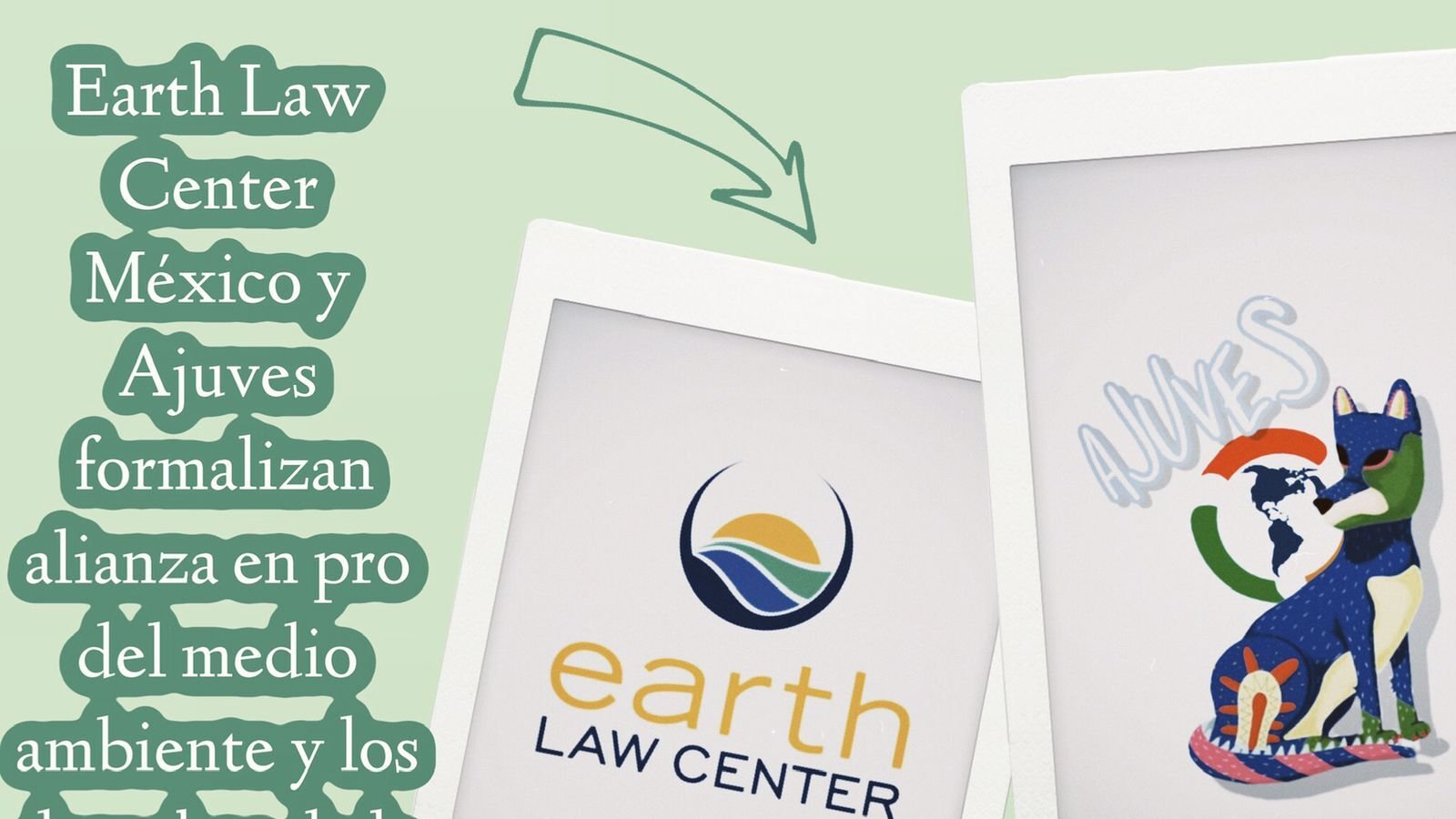 Earth Law Center on Twitter: "Earth Law Center Mexico and @ajuves_mx formalize their alliance in favor of the environment and Rights of https://t.co/dcY6TSaPjM" / Twitter