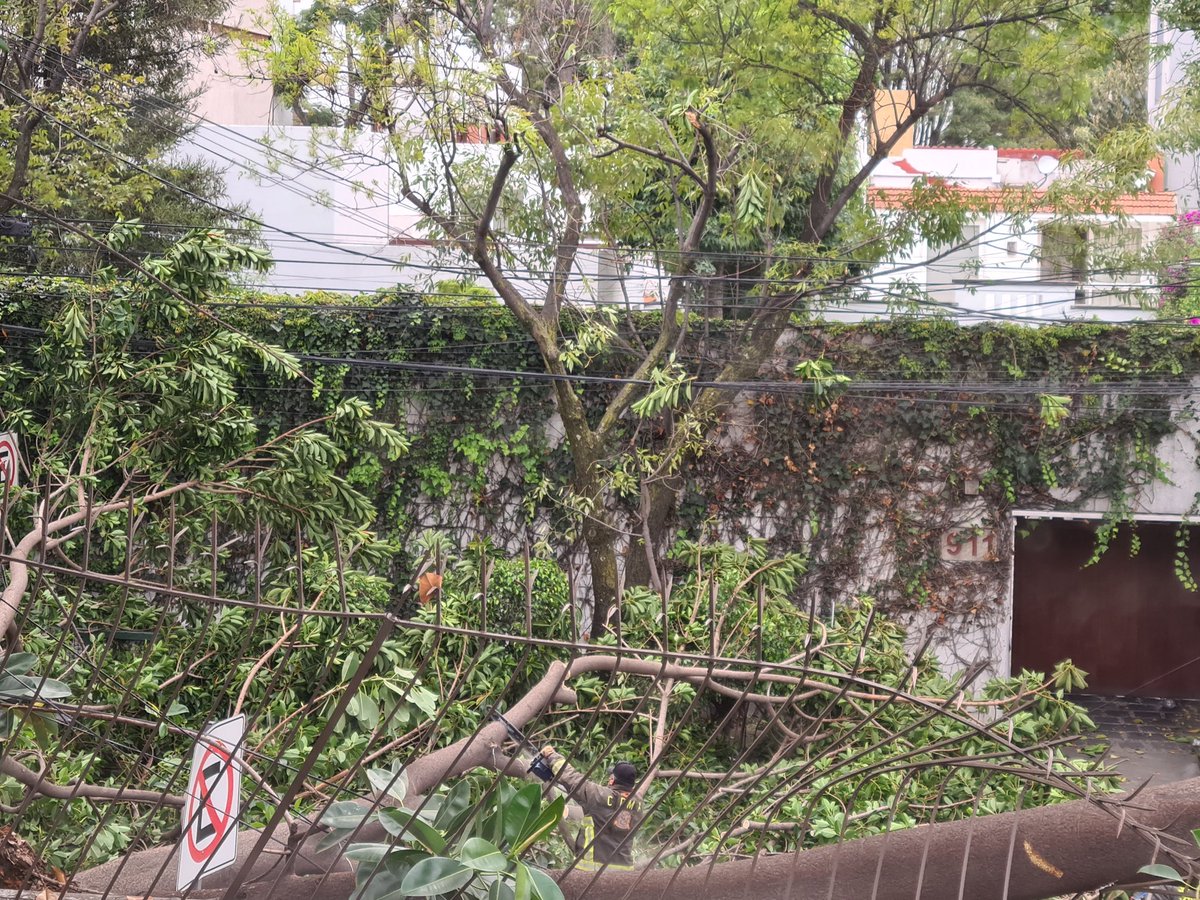 Como cuando <a href="/CNPC_MX/">Coordinación Nacional de Protección Civil</a> <a href="/BJAlcaldia/">Alcaldía de Benito Juárez</a> atiende tu reporte a tiempo 🙄