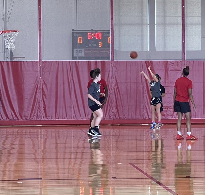 haley combs tweet media