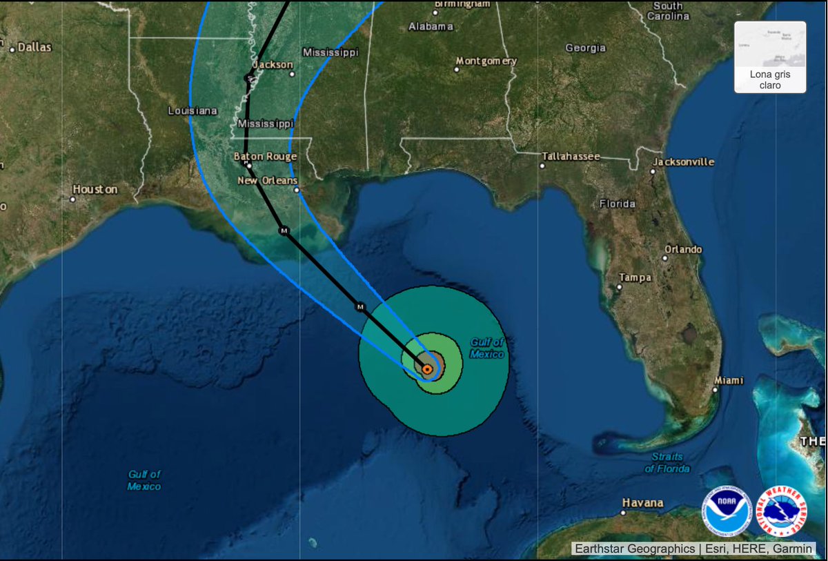 Mauro Morales tweet media