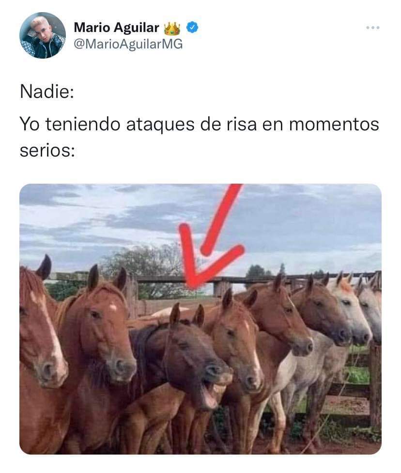 luzmendoza62's tweet photo. Yooo mera sin remedio... 🤭😝🙈
#JuntaMensual https://t.co/Kk4cI85coK