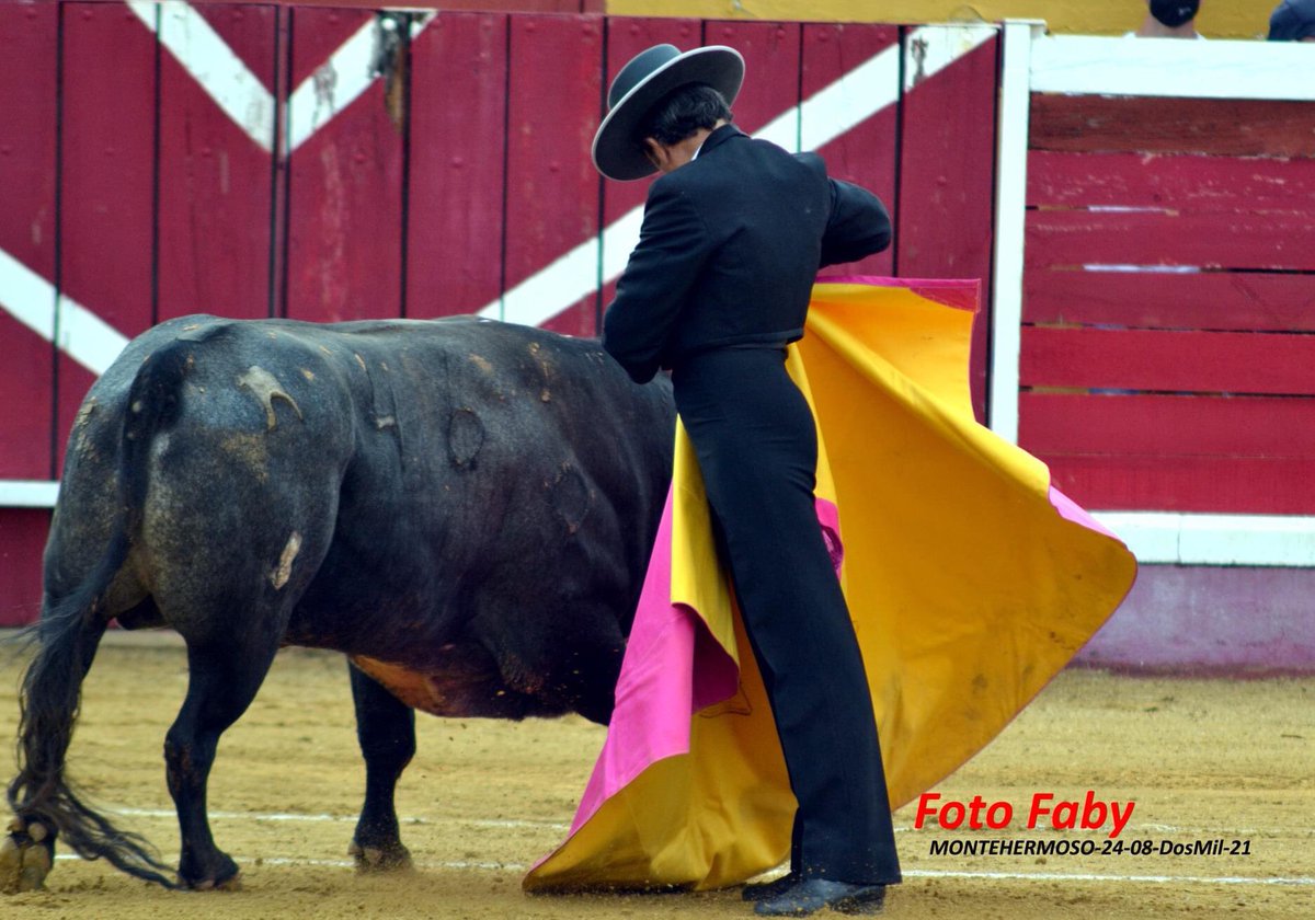 Adivina!!! Inigualable ... ⭐️