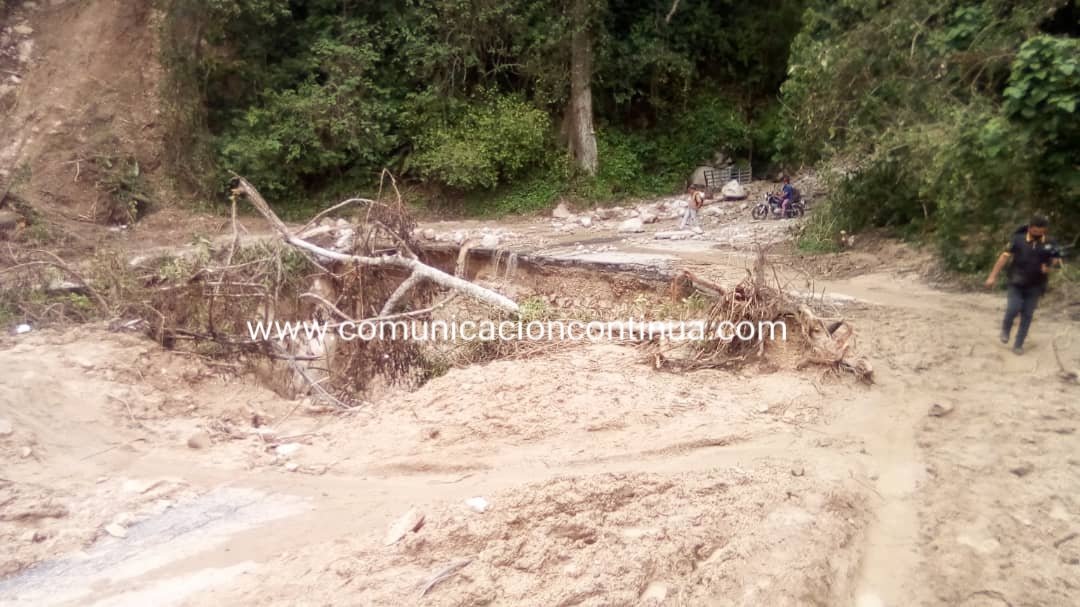 ReporteYa's tweet image. #28Ago #Mérida
@leoperiodista: Todo esto es en la vía entre #Tovar y el sector Los #Higuerones, vía a El #Amparo..Fotos.Efrain Pereira