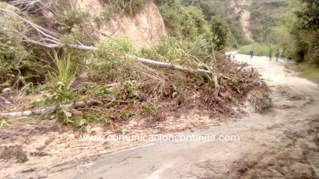 ReporteYa's tweet image. #28Ago #Mérida
@leoperiodista: Todo esto es en la vía entre #Tovar y el sector Los #Higuerones, vía a El #Amparo..Fotos.Efrain Pereira