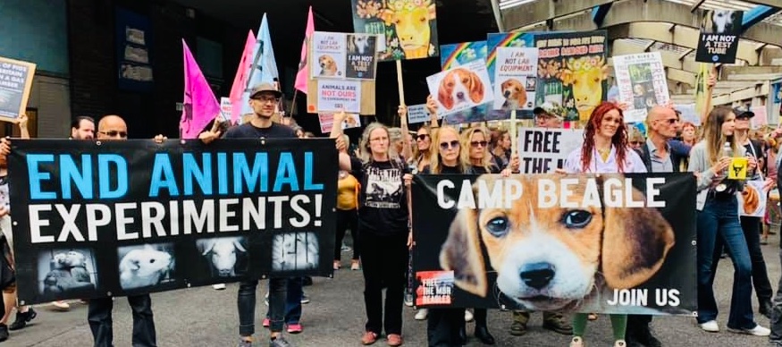 Camp Beagle at the National Animal Rights march in London today! <a href="/SkyNews/">Sky News</a> <a href="/BBCEngland/">BBC England</a> <a href="/TimeOutLondon/">Time Out London</a> <a href="/europapress/">Europa Press</a> <a href="/officialmoz/">Morrissey</a> <a href="/rickygervais/">Ricky Gervais</a> @joannalumleyuk #RescateVivotecnia #EndAnimalTesting #CrueltyFree