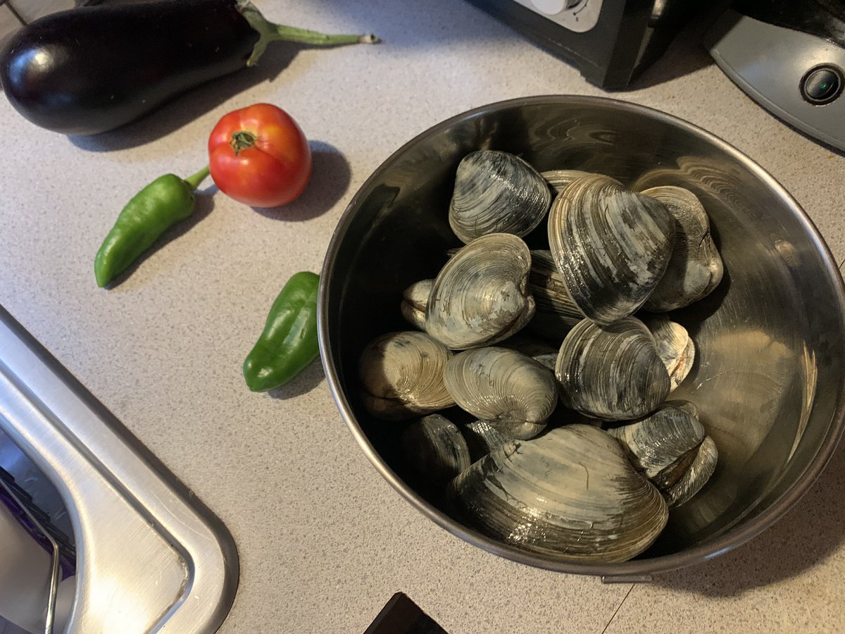 chrislb104's tweet photo. Beach and quahogs tonight with a good beach clean mixed in. #buttonwoodsbeach #quahogs https://t.co/VmLEMGeSm3