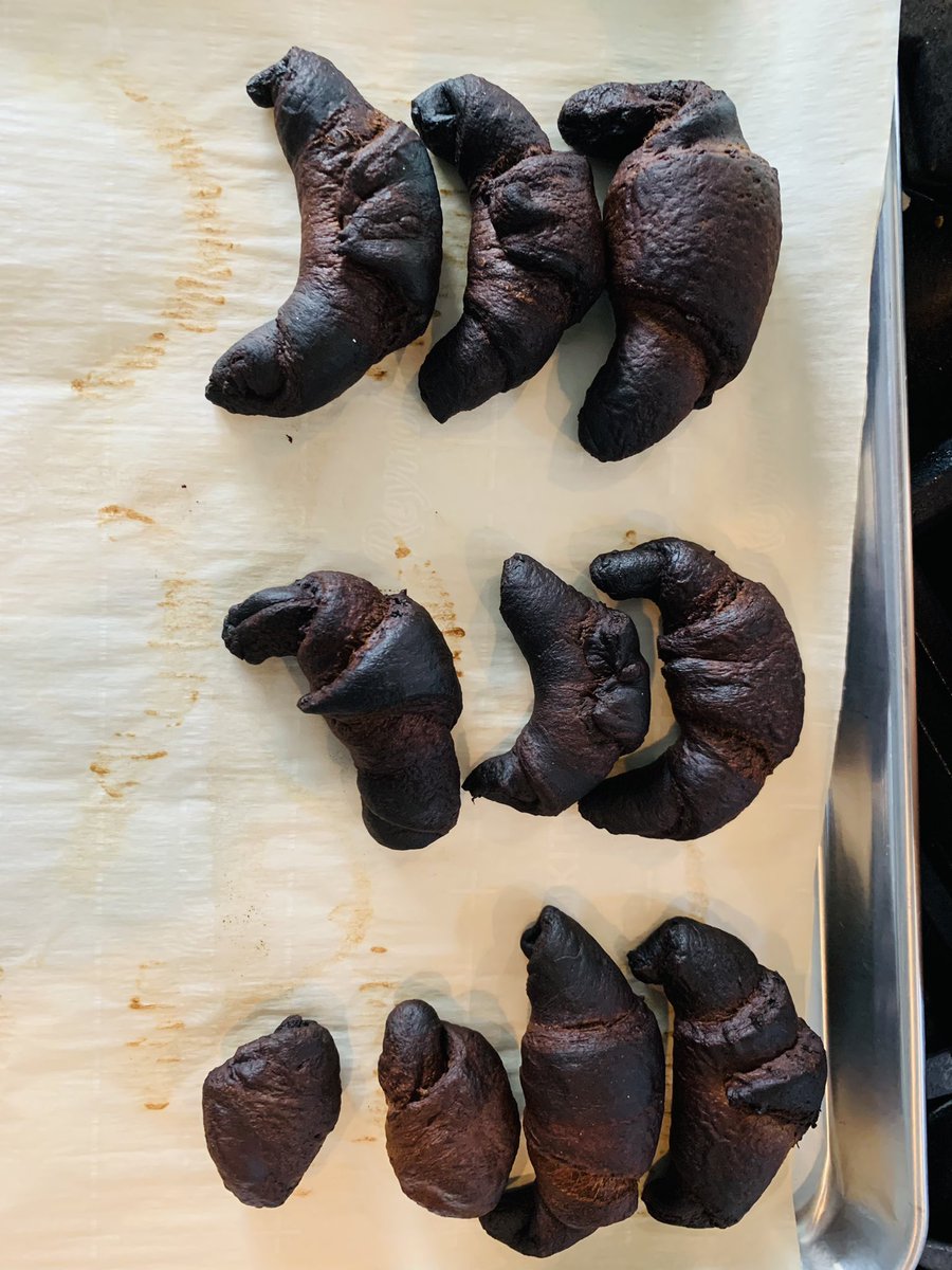 Christina Arnold, MD🦋 tweet media