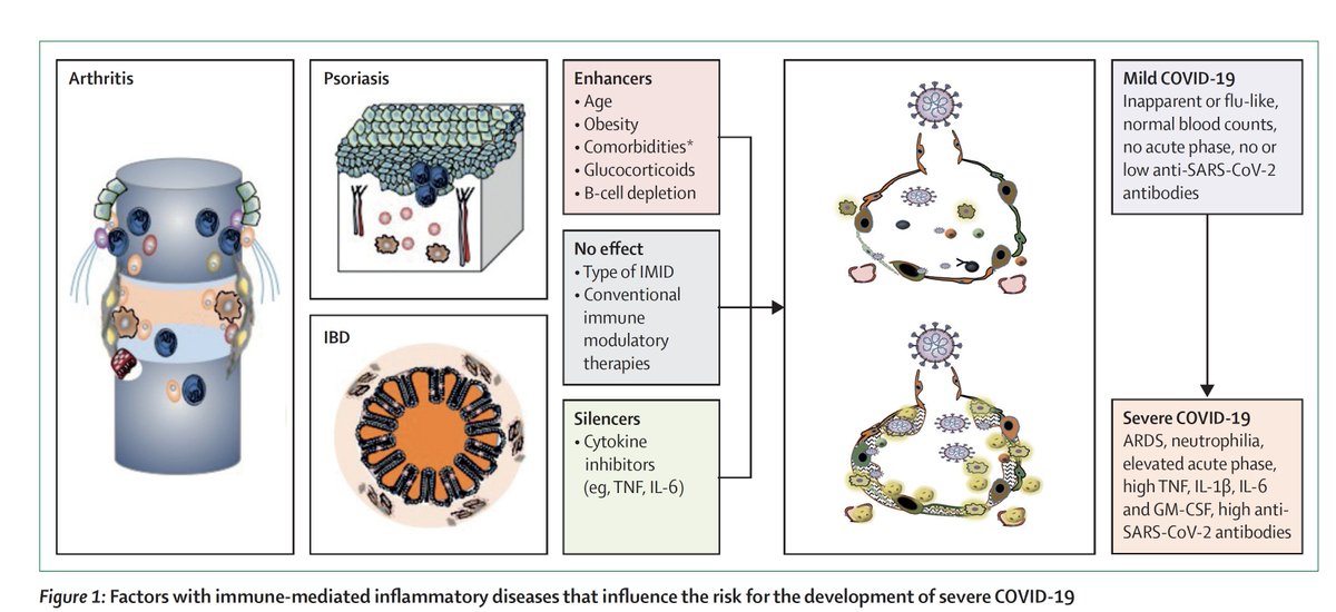 EricTopol's tweet photo. What about the risk of automimunne conditions and Covid?
An excellent new review @TheLancetRheum 
? risk of infection, hospitalization, death; Glucocorticoids increased risk, cytokine inhibitors, vaccination impact
 https://t.co/JIu0sc53Sd https://t.co/sXljj5jbYP