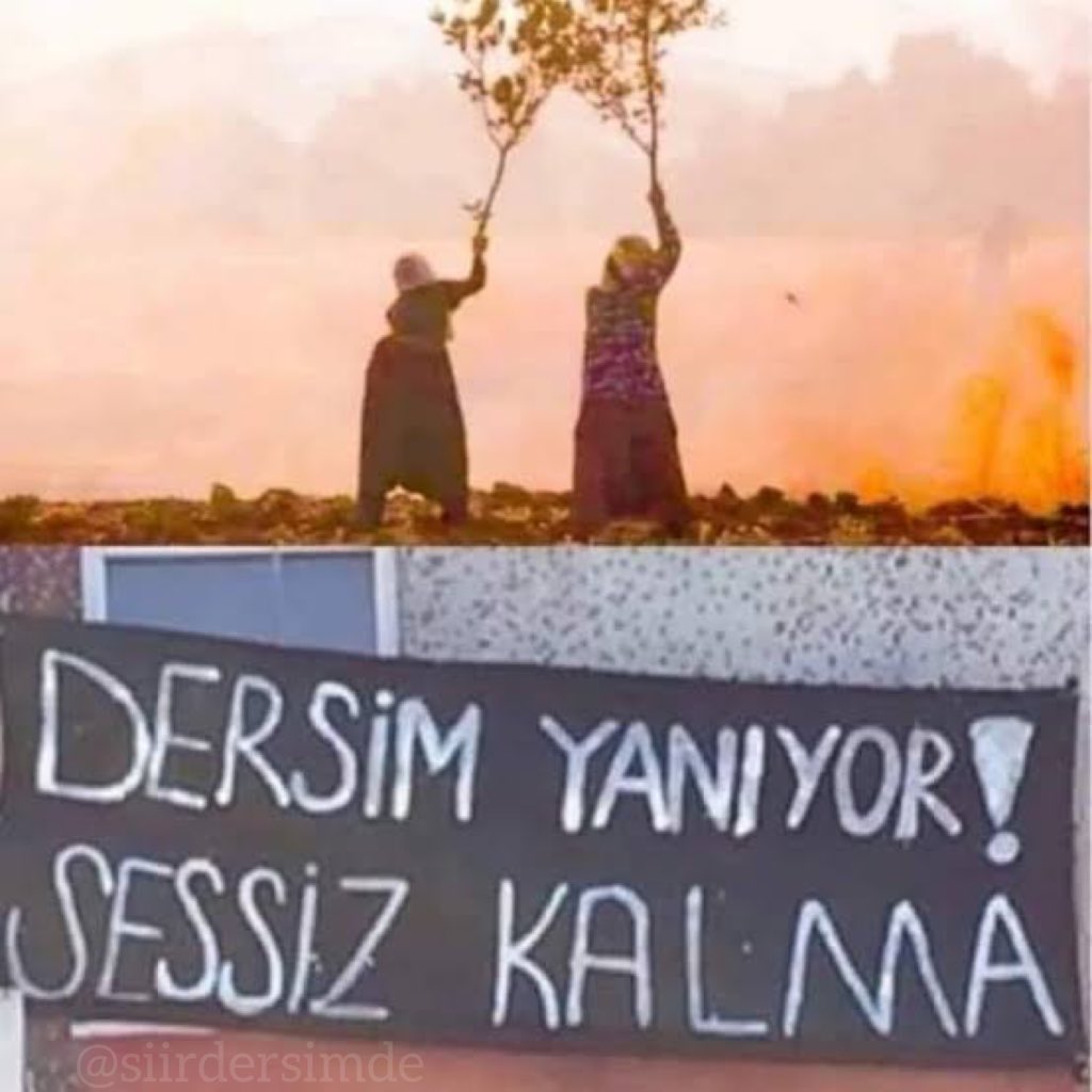 Bugün 12 gün oldu. Dersim'de tam on iki gündür yanıyoruz. Bu yangına müdahale etmeyenleri unutmayalım! 

"...ve ipek bir halıya benzeyen toprak,
bu cehennem, bu cennet bizim."

#DersimYanıyor #DersimYanıyorSesVer