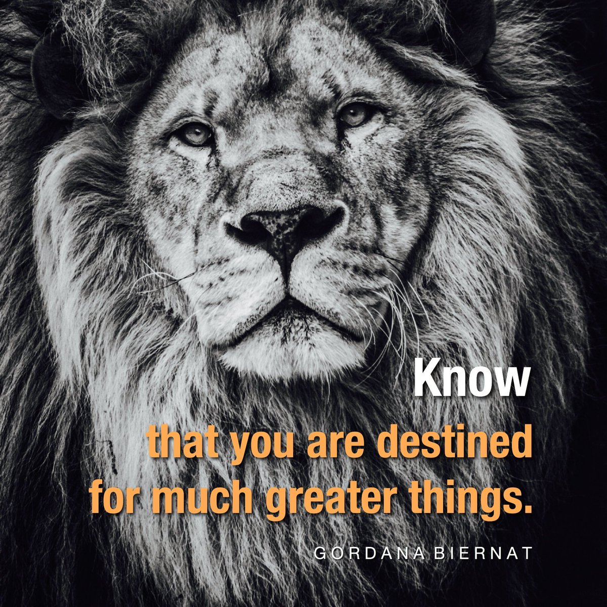 MyPowertalk's tweet photo. Never dwell on
negative thoughts.

Acknowledge their existence.
Detach. Release. Let go.

Know that
you are destined
for much greater things.

#ShineOn✨ https://t.co/ESQkJiQ0aD