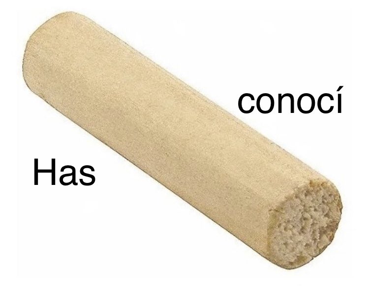 Vi la vida con dolor