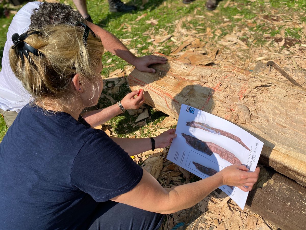 ExperimentArchaeolog (@earchaeol) on Twitter photo The Gortnacrannagh oak carving is up! <a href="/AMS_Ireland_UK/">Archaeological Management Solutions</a> <a href="/EArchaeol/">ExperimentArchaeolog</a> + #Pallasboy <a href="/TIINews/">TII</a> team + others made a replica at Craggaunowen, Living Past Experience <a href="/ShannonHeritage/">Shannon Heritage</a> The Gortnacrannagh oak carving is up! <a href="/AMS_Ireland_UK/">Archaeological Management Solutions</a> <a href="/EArchaeol/">ExperimentArchaeolog</a> + #Pallasboy <a href="/TIINews/">TII</a> team + others made a replica at Craggaunowen, Living Past Experience <a href="/ShannonHeritage/">Shannon Heritage</a>