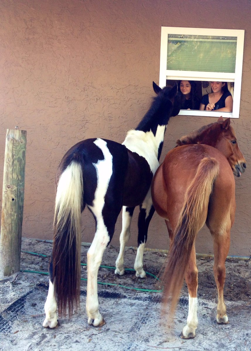 Darla Hatton tweet media