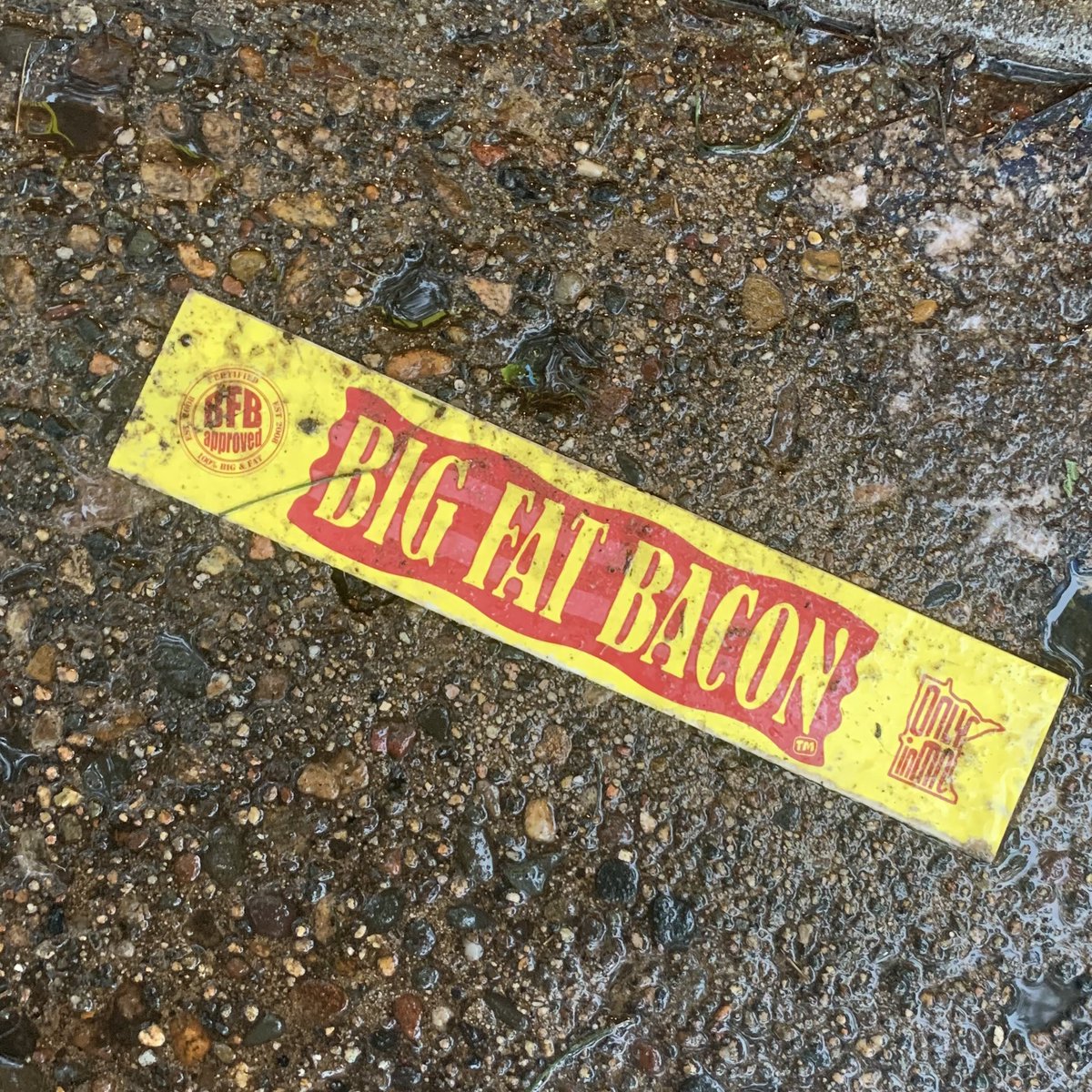 Big Fat Bacon tweet media