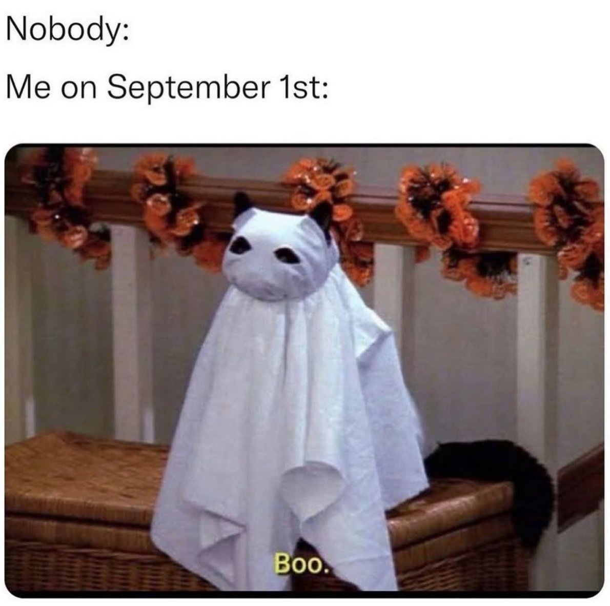 womenshumor's tweet photo. PSL season is almost upon us https://t.co/yPFG5ZMoLQ