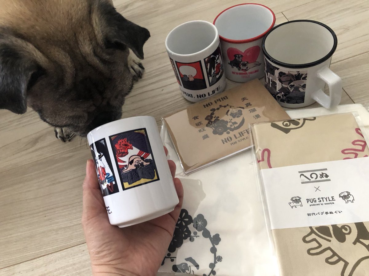 96ppe's tweet image. 可愛子ちゃんがいっぱい😍
パグスタイルさんありがとうございます💓
我が家は手洗いしますよ🧽（笑）
#PUGSTYLE
#パグスタイル
#ワズスタイル
#nopugnolife