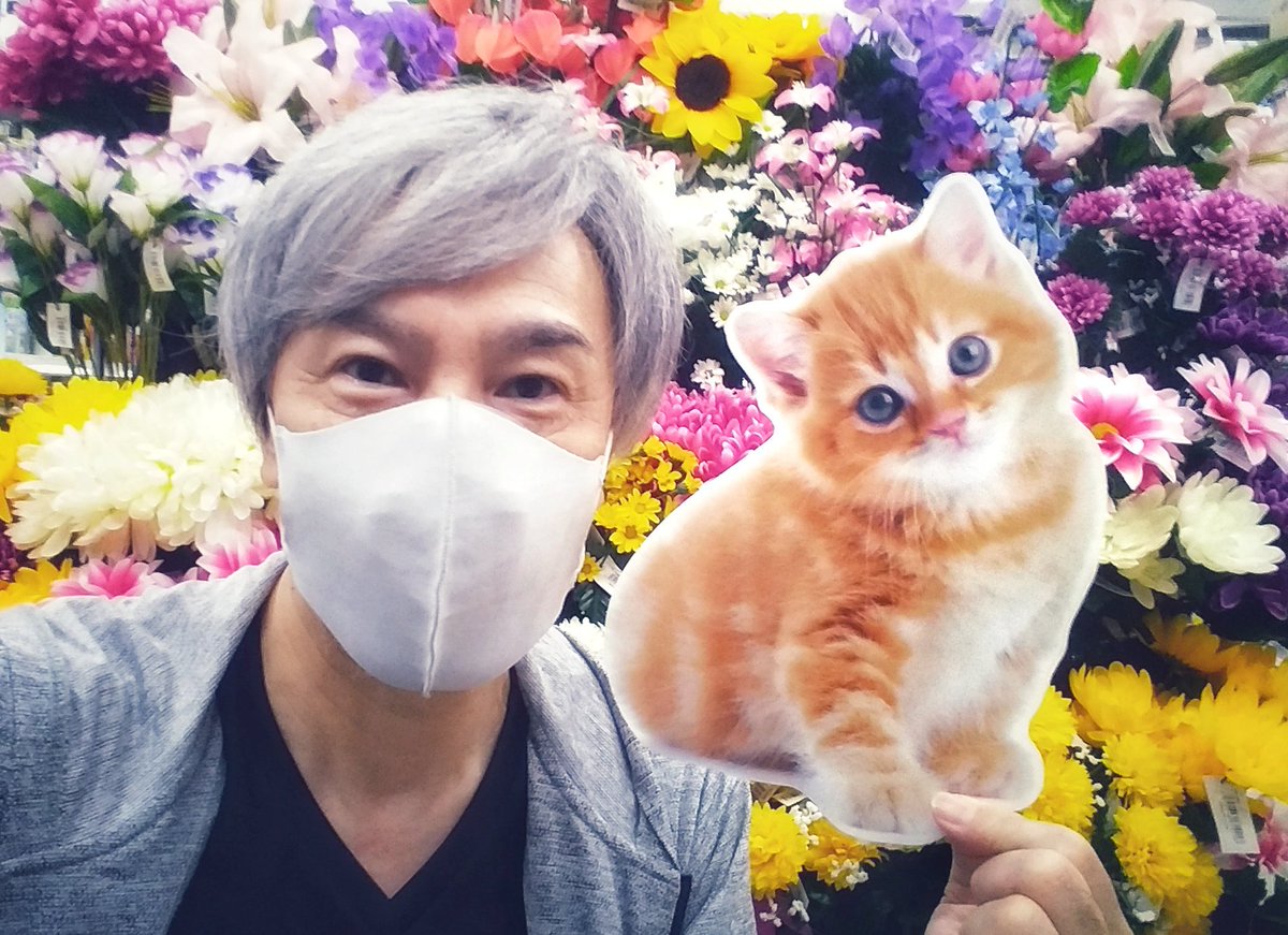 YUSAKU_LEE's tweet photo. 猫が好き(=^_^=)
#こねこ #ウイッグ #自撮 #自撮り #猫 #ねこ #ネコ #セルフィ #セルフィー #自分撮 #自分撮り #アデランス #モデル #aderans #ウィッグ #wig #wigmodel #シニアモデル #子猫 #cat #カツラ #若ハゲ #ハゲ #はげ #薄毛 #増毛 #白髪 #ユーチューバー #yusakulee #youtuber #李優作 https://t.co/17dBGNEJLq