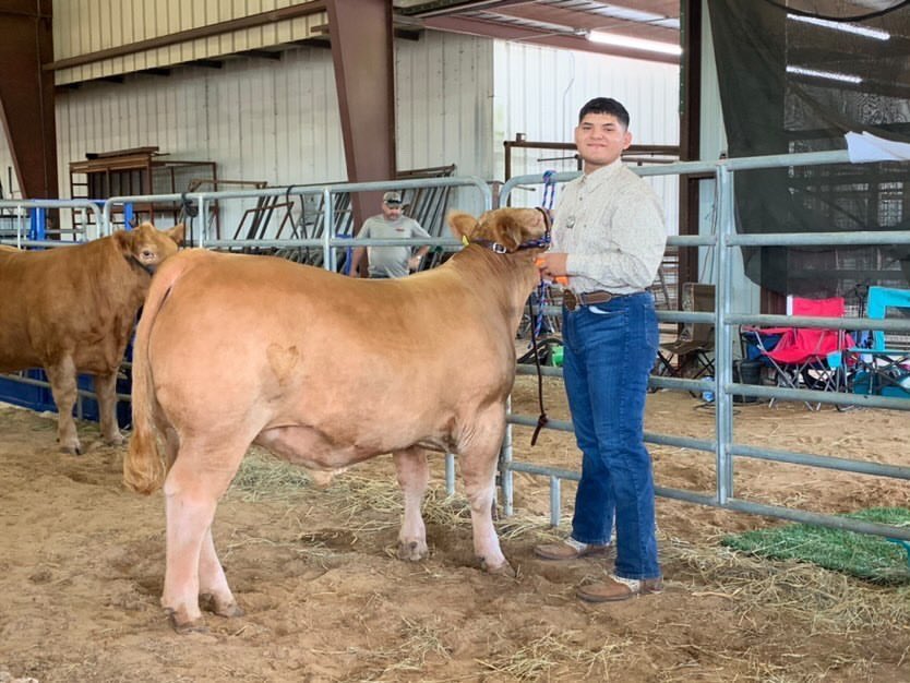 NimitzFFA's tweet photo. HELLOO COUGAR NATION!!!
My name is Aarón Hernández and I’ll be serving as your Treasurer for the 2021-2022 school year! I absolutely can not wait to serve you guys during this AMAZING YEAR and hope to see you guys at our first meeting. #nimitzffa #IgniteFFA https://t.co/zHY45LW1ez