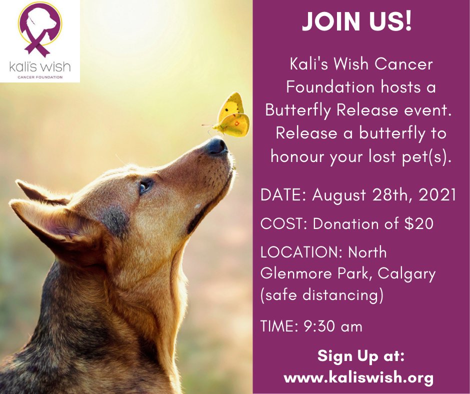 kalis_wish's tweet image. JOIN US TOMORROW for the '1st Annual Butterfly Release Memorial Event.'  For $20 you can purchase a butterfly and join us for this short memorial where we release butterflies to honour our cherished pets. Learn more - hubs.la/H0W8Jt90  #remember #pets #event #rainbowbridge