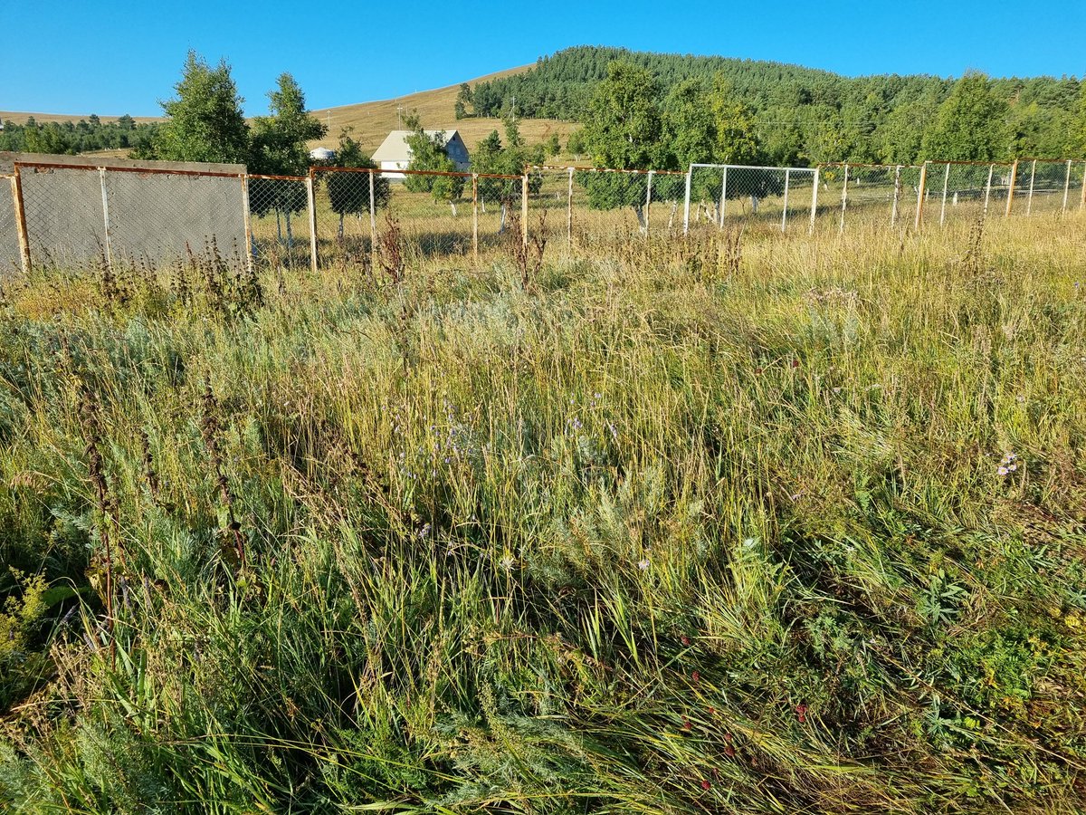 Mambi (@mambi78) on Twitter photo 