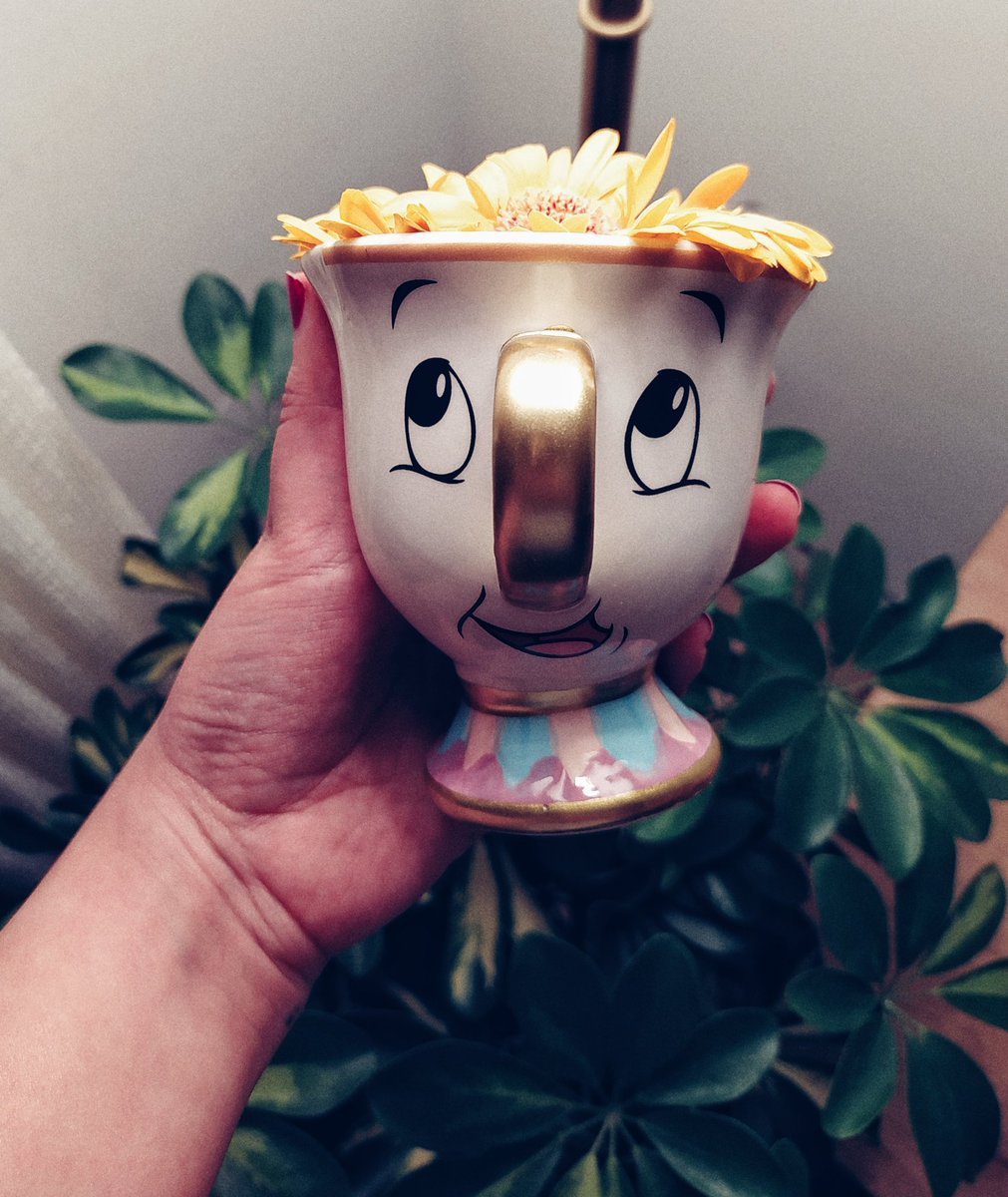 sepidehTa's tweet photo. رو سر بچهم یه ذره گل گذاشتم خوشحال شه #chipmug #BeautyAndTheBeast https://t.co/JOL6I89B8T