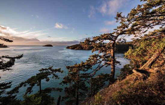 Greetings from my island home in The Pacific North West, USA!!🇺🇸🌟🌲🌊🦊✨
Wishing all #MyTwitterFamily♥️🌟a wonderful weekend!!🥳☮️
Love to all, Tina☘️🦊♥️

#HappyWeekend  
#MyHomeIsAnIsland
#PNW
#Peace☮️  #Love♥️
#Unity🌐🌿🕊