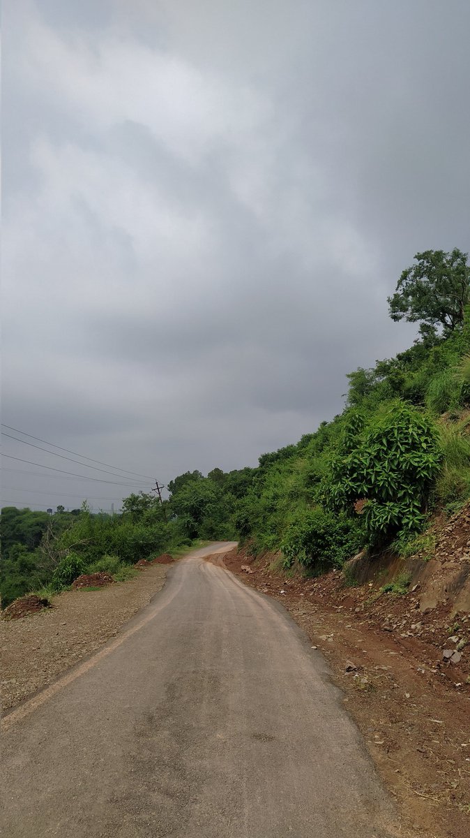 AyushiKesarwa14's tweet image. Seventh day of driving classes.
Took a 5 mins halt to click these ! 💚

#scenic #scenary #greenary #photography