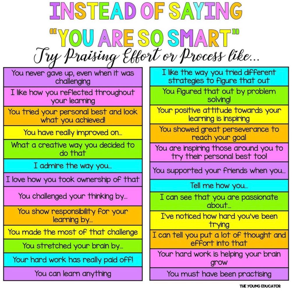 Sevin Ayas tweet media