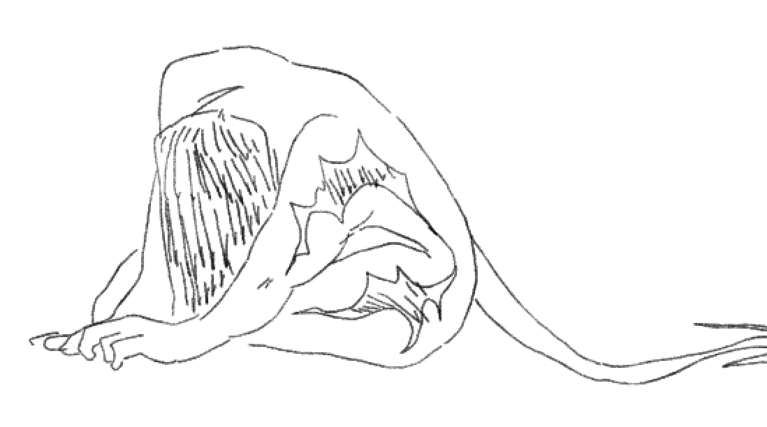cannot stop drawing naked ryder for some reason 