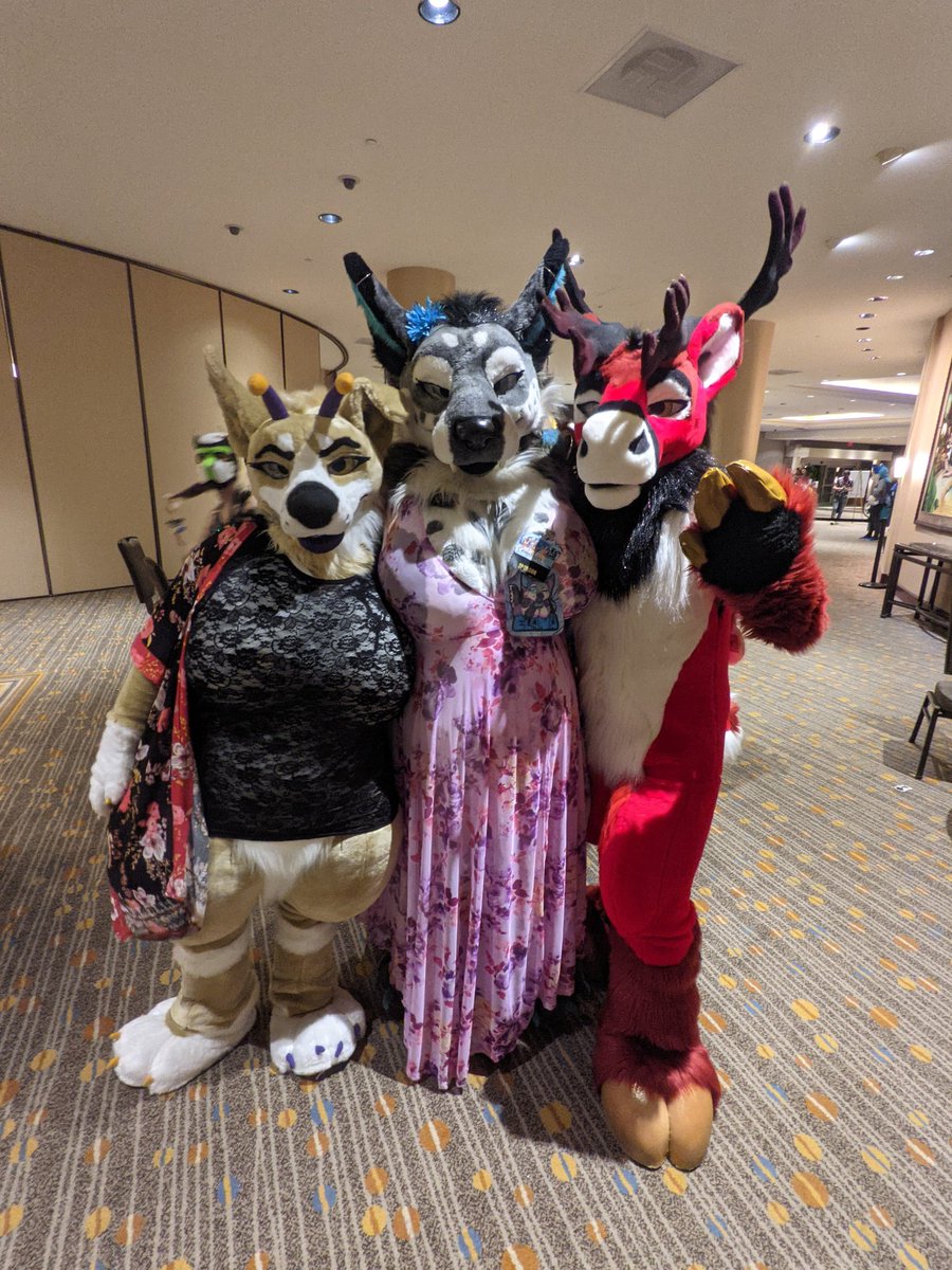 Boupocalypse's tweet photo. .@Boupocalypse find best ladies @FurrySiesta
#SokiSunday @CeresHoss https://t.co/CAzh1XiSbe