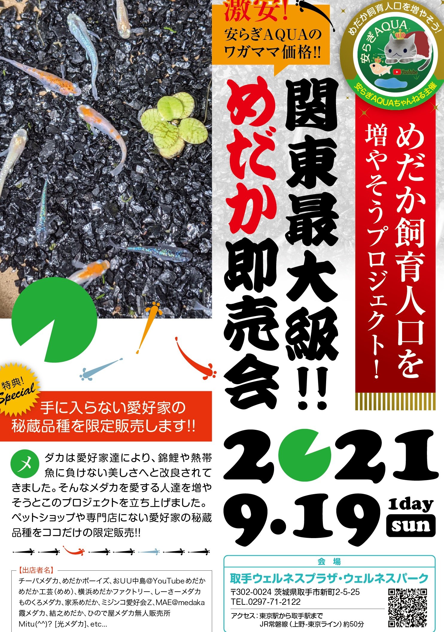 めだか卵 Twitter Search Twitter