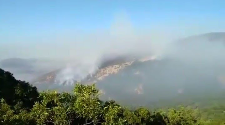 acikradyo's tweet photo. 🔺Dersim’in Hozat ilçesine bağlı Danzi ve Kurukaymak köyleri ile Koçeri mezrasında başlayan orman yangınları 10 günden uzun süredir devam ediyor. Yangınlar Ovacık ilçesine de sıçradı. #HaftanınHaberHasatı https://t.co/gmxV9cygEn