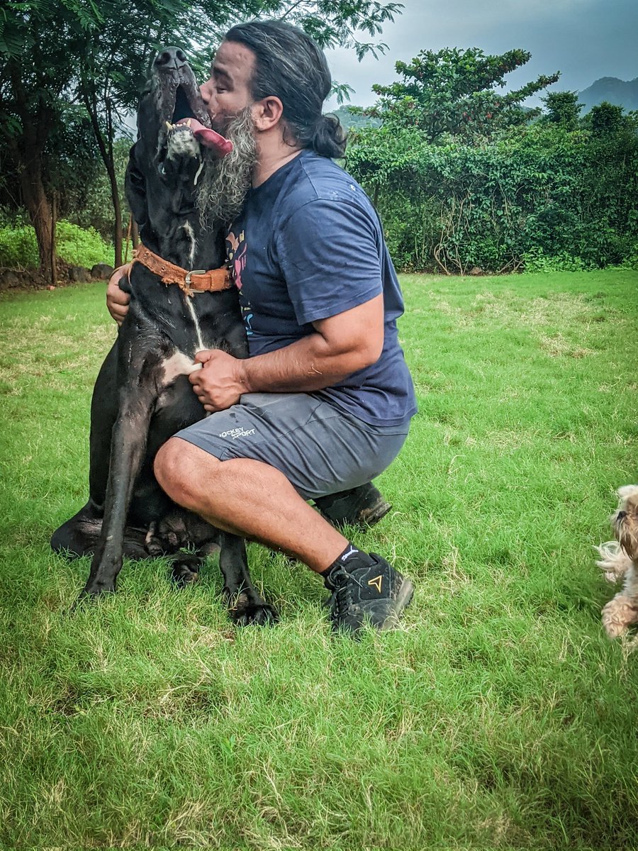 PhoebesFarm's tweet photo. hugged them all and smiled... 🥺

#jackthedog #jack #bagheera #Re #rachel #simba #blue #bounce #piddu #indiedog #indiedogs #greatdane #greatdanes #blackdane #dogs #pets #hugthem #hugs #smiled #phoebesfarm #dogfarm #petfarm #pettingfarm #animalfarm #petresort #dogresort https://t.co/myQ1CrkGoi