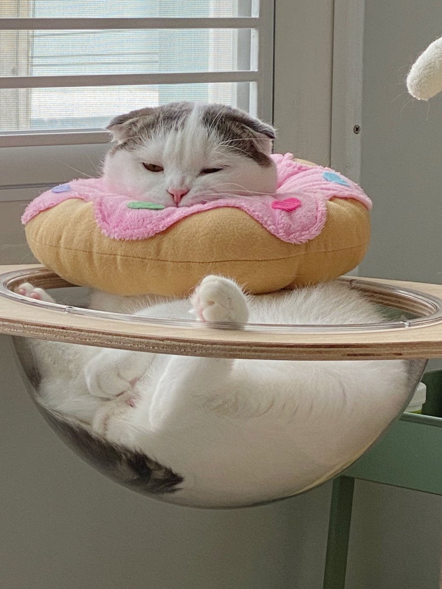 จู๊ดเองก็ลำบากกก