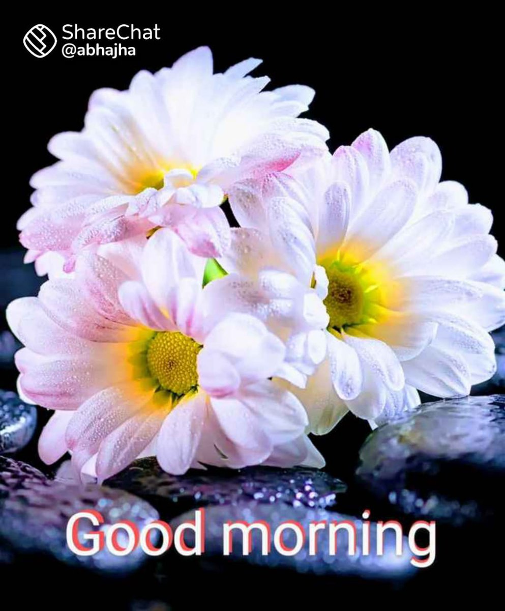 NarendarPt's tweet photo. @starrytalks https://t.co/eLFn46N5FM