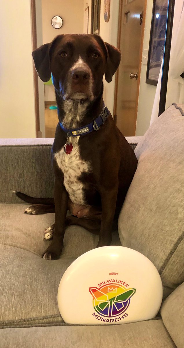 PUL viewing party with Rosie
#petsofthepul