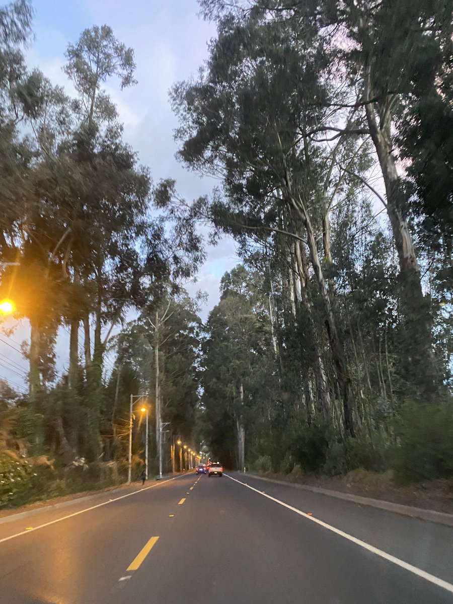 Marcos Vaca M. 🛸 tweet media