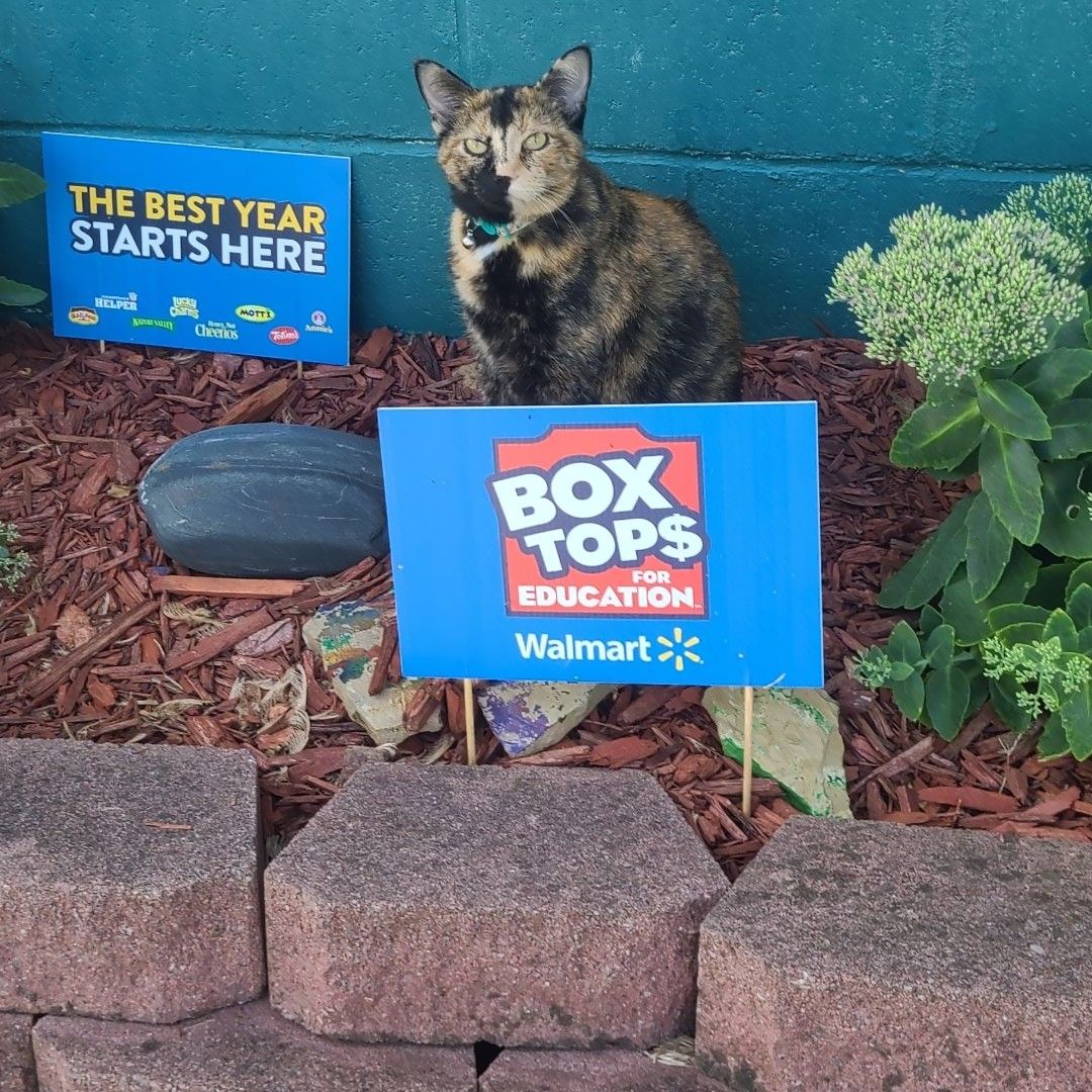 MindyMimismusic's tweet image. #btfe #walmart #gratsy #campaign #thebestyearstartshere influenster.com/deeplink/photo…