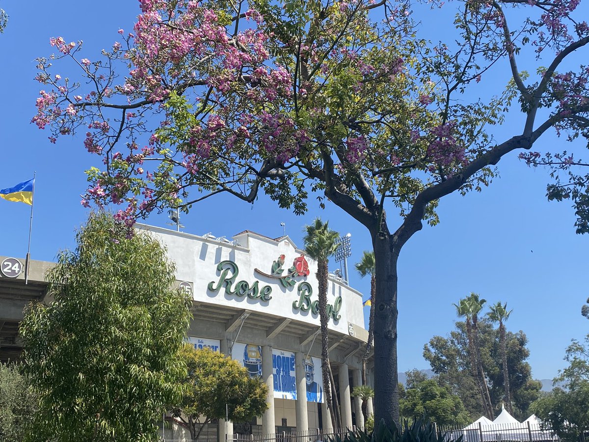 LindzH89's tweet photo. After 637 days, it was good to be home.💙💛💙💛@UCLAFootball @UCLA_Nation https://t.co/ZTZp9KLjT5