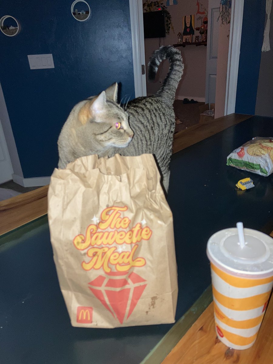 sofiphobia's tweet photo. @McDonalds @Saweetie got that meal 🤤🤤 it’s so good https://t.co/K0DtFWEZz6
