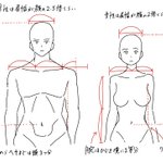 これだけ覚えておけば失敗しない？男女の胴体の基本比率!