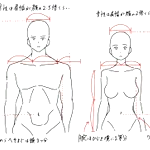 これだけ覚えておけば失敗しない？男女の胴体の基本比率!