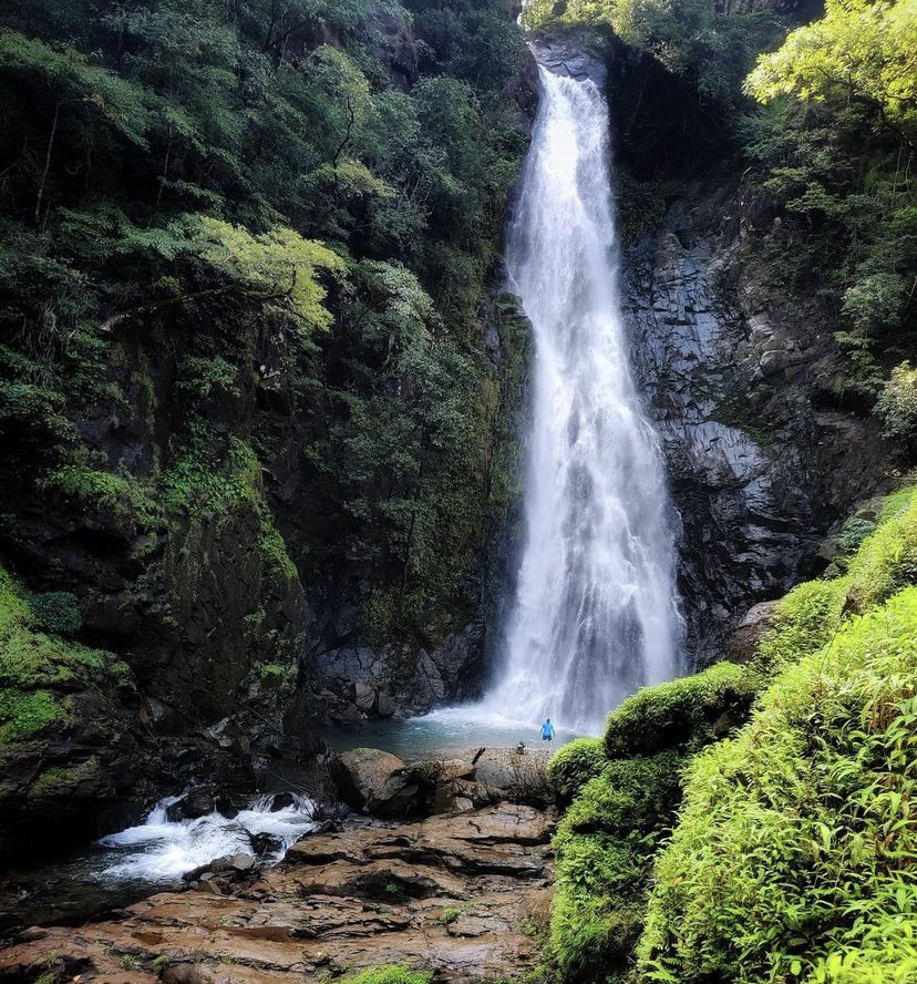 GaurangPrabhu's tweet photo. The waterfall is nature’s laughter. #MainapiWaterfall #NetraveliwildlifeSanctuary #GreenGoa #Goabeyondbeaches https://t.co/nTrZmGZQFi